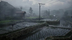 Игра Silent Hill f [PS5, русские субтитры]