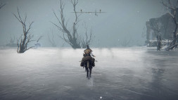 Игра Elden Ring [PS4, русские субтитры]