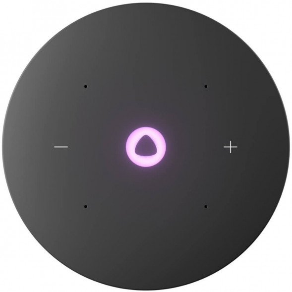 Умная колонка Яндекс Станция Мини 3 Про с Алисой с Zigbee, серый в Мурманске