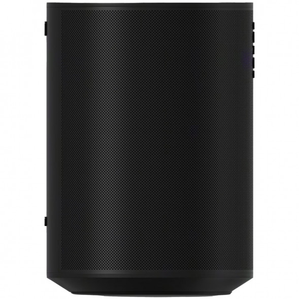 Умная колонка Sonos Era 100, черный в Мурманске