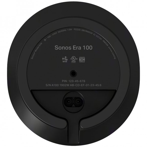 Умная колонка Sonos Era 100, черный в Мурманске