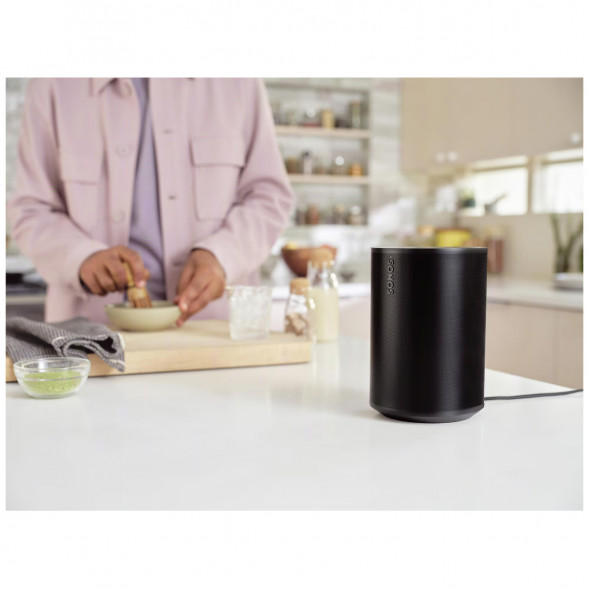 Умная колонка Sonos Era 100, черный в Мурманске