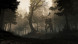 Игра GreedFall [PS4, русские субтитры] в Мурманске