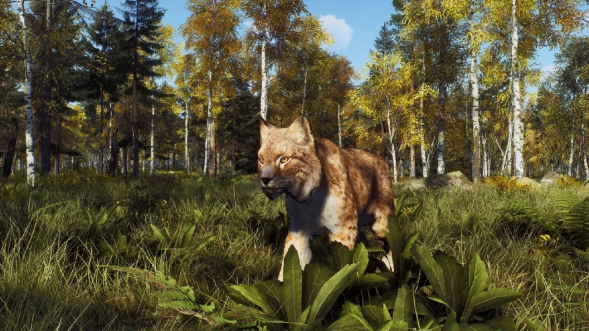 Игра Way of the Hunter: Wild Expeditions [PS5, русские субтитры] в Мурманске