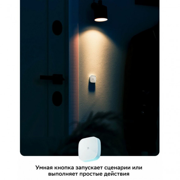 Умная кнопка Sber SBDV-00032 в Мурманске
