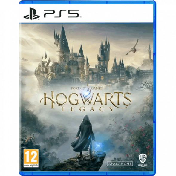 Игра Hogwarts Legacy Standard Edition для PlayStation 5 в Мурманске