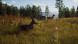 Игра Way of the Hunter [PS5, русские субтитры] в Мурманске
