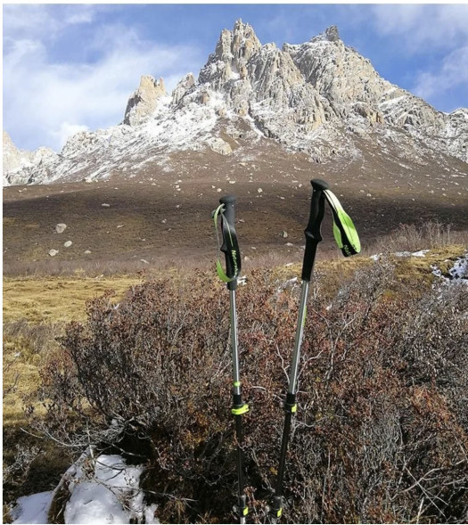 Треккинговая палка Naturehike 135 см, 1 шт., черный/красный в Мурманске