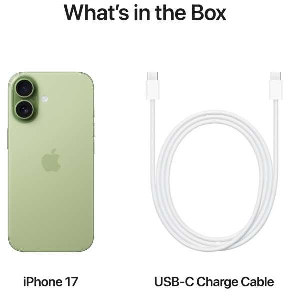 Смартфон Apple iPhone 17 512GB eSim, Sage в Мурманске