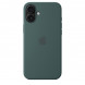Чехол Apple для iPhone 16 Plus Silicone MagSafe,  Lake Green (MYYH3ZM/A) в Мурманске