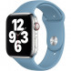 Ремешок для Apple Watch 44mm Northern Blue Sport Band (MYD32ZM/A), скандинавский синий в Мурманске