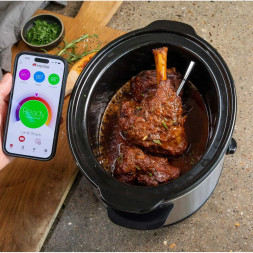 Термометр щуп для мяса MEATER 2 Plus (MT-MP201)