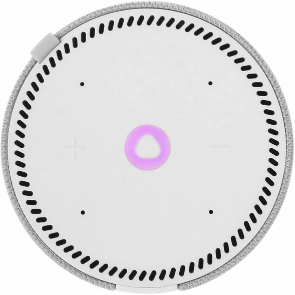 Умная колонка Яндекс Станция Мини (без часов), cерый опал в Мурманске