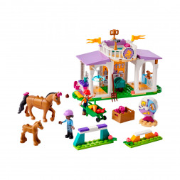 Конструктор LEGO Friends 41746 Horse Training