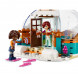 Конструктор LEGO Friends 41760 Праздничное приключение в иглу в Мурманске