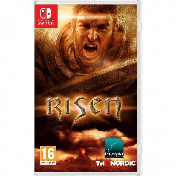 Игра Risen [Nintendo Switch, русская версия] в Мурманске