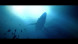 Игра Under The Waves [PS4, русские субтитры] в Мурманске