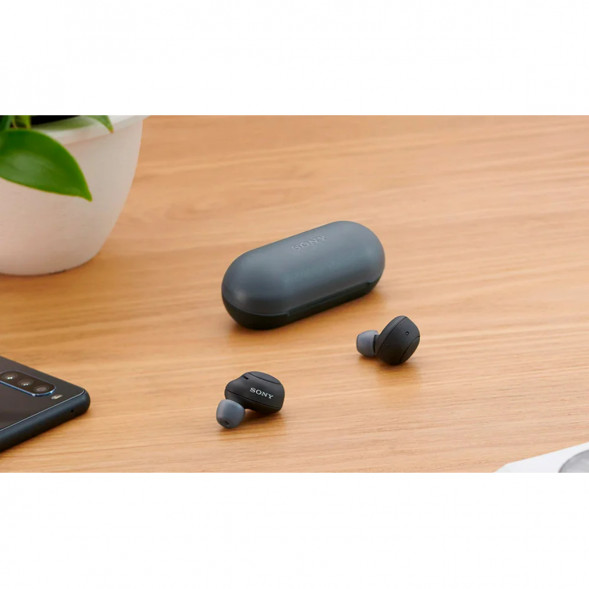 Беспроводные наушники Sony WF-C500, Black в Мурманске